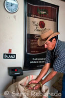 Bascula para pesar los sacos llenos de granos de café secos dispuestos para el tueste en la Hacienda cafetera San Alberto. (Buenavista, Quindío). Un consumidor sofisticado sabe que el café se debe consumir recién preparado. Así, la bebida conserva muchos aromas volátiles que tienden a perderse en corto tiempo. Es por esta razón que el café sabe mejor cuando está recién preparado. Tómelo tan pronto como sea posible; el café se deteriora cuando se guarda por más de una hora y nunca debe recalentarse o hervirse. Mantener la frescura del café preparado es una función tanto de la temperatura como de las condiciones en que se tenga el café después de su infusión. Mantener la temperatura uniforme de entre 80°C a 85°C, en un recipiente cerrado hermético, sin aplicación de calor directo, permite mantener una bebida con sabor placentero. Aunque la temperatura de servido es cuestión de gusto personal, es aconsejable servir la bebida en el rango de temperatura promedio para bebidas calientes de 70°C a 80°C, para que resulte realmente placentero. En el tema de la conservación, es importante tener también en cuenta la conservación del  café tostado con que se prepara la bebida. El café tostado se  deteriora fácilmente a causa del aire, la humedad, el calor, oxidándose con el tiempo y absorbe además aromas extraños. Es pues un producto delicado. Para conservar su calidad es importante recordar lo siguiente: Compre su café en un establecimiento que maneje una adecuada rotación del producto. Mantenga herméticamente cerrado el producto, evitando su contacto con el aire. Una vez abierto el empaque, es importante consumirlo en los siguientes días. Así logrará percibir su sabor original. Es preferible conservar el café tostado, sin moler. Compre cantidades que consuma rápidamente. No almacene por largos periodos de tiempo café tostado y/o molido. Es importante tener en cuenta que el café tostado y empacado en bolsas normales,  puede considerarse fresco, cuando está molido, hasta por un mes, y en grano por dos meses, dependiendo desde luego de las condiciones donde se almacene. Lugares con una alta humedad y altas temperatura afectan fuerte y negativamente la calidad. También es clave la calidad de los empaques. Si se utilizan  empaques de alta barrera,  con válvula de alivio con atmósfera modificada,  se puede proteger el aroma y la frescura del producto por periodos más largos. El  proceso industrial también puede afectar la frescura. En general un café empacado al vacío podría tener una vida útil de alrededor de 18 meses. Un café liofilizado con condiciones de empaque similares podría tener una vida útil aún mayor. En suma, siempre tenga en cuenta que una vez abierto el empaque, es importante almacenar el café en recipientes herméticos en un lugar fresco y seco.  Si utiliza café tostado en grano, muela solamente la cantidad que va a tomar