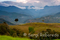 Impresionante paisaje al atardecer junto al Parque Nacional Natural de Los Nevados. En la cordillera central de los Andes colombianos, aproximadamente por encima de los 4.800 metros sobre el nivel del mar, existe un conjunto de 3 picos nevados de extraordinaria belleza que convocan a miles de visitantes al año, pues en estas latitudes y a semejante altura, las nieves son perpetuas, como lo es su atractivo. Son los nevados Santa Isabel, El Ruiz o Mesa de Herveo y el Nevado del Tolima En suelos menos empinados se encuentra la vegetación del páramo: puyas, deditos, cojines y frailejones, aportan al paisaje su variado colorido, el cual, incluso en los ratos soleados, conserva sus tonalidades pastel. Aquí es frecuente la neblina que le da al lugar un aspecto misterioso. Cuando en los picos nevados cae la nieve, en los páramos pueden presentarse fuertes granizadas que lo cubren todo de hielo durante el breve espacio en que el sol tarda en reaparecer.