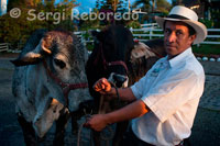 Un ganadero guarda las reses a cubierto al atardecer cerca de Manizales. Manizales es la capital de Caldas. Es una ciudad en el centro occidente de Colombia, ubicada en la Cordillera Central de los Andes, cerca del nevado del Ruiz. Forma parte de la llamada Región paisa y del llamado Triángulo de oro, tiene una población de 430.389 habitantes de acuerdo a las proyecciones demográficas oficiales para el año 2011, su área metropolitana conformada por los municipios de Manizales, Neira, Villamaria, Palestina y Chinchiná, llega a un población de 768.200 habitantes aproximadamente. Hace parte, junto con Risaralda, Quindío, el Norte del Valle y el suroeste antioqueño del eje cafetero colombiano. Fundada en 1849 por colonos antioqueños, hoy es una ciudad con actividades económicas, industriales, culturales y turísticas.4 De su actividad cultural son de resaltar la Feria de Manizales y el Festival Internacional de Teatro de Manizales. Manizales es denominada la "Ciudad de las Puertas Abiertas" gracias a la cordialidad de su gente. También se le conoce como "Manizales del Alma" debido a un pasodoble taurino que lleva su nombre y como "La Capital Mundial del Agua" gracias sus grandes recursos hídricos.