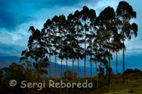 Paisaje junto al Parque Nacional Natural de Los Nevados. El Parque Natural Nacional de los Nevados abarca uno de los sistemas montañosos más complejos de Colombia. Ubicado en la región central del país, consta de cinco nevados: el Nevado del Ruiz, el Nevado del Cisne, el Nevado de Santa Isabel, el Nevado del Quindío y el Nevado del Tolima, lo que lo convierte en uno de los sitos que más quieren visitar los turistas.  El parque tiene 58.300 Hectáreas y quienes lo visitan pueden disfrutar de: el Nevado del Ruiz a 5.300 m.s.n.m.; el Nevado del Tolima a 5.200 m.s.n.m.; el Nevado Santa Isabel a 4.950 m.s.n.m.; el Nevado del Cisne a 4.800 m.s.n.m.; el Nevado del Quindío a 4.800 m.s.n.m.; la Laguna del Otún a 3.900 m.s.n.m.; los Termales del Ruiz a 3600 m.s.n.m.; los Termales del Rancho a 2600 m.s.n.m. y la Cascada Gualí a 4000 m.s.n.m., entre otras. El Parque cuenta con dos zonas establecidas para acampar, una situada en Los Arenales del Ruiz y la otra en el sector de la Laguna del Otún.  Quienes deseen visitarlo deben llevar ropa apropiada para clima frío, impermeables, linterna, sombrero, botas de caucho, gorro, bufanda, guantes de lana, gafas oscuras con filtro UV y bolsas para la basura. En el Parque no existe sitio de aprovisionamiento. Quienes van a acampar, deben llevar el equipo completo para alta montaña y estufa a gas. Para ascender a los picos, además de necesitarse un permiso especial, se debe llevar el equipo apropiado. Si hay personas en el grupo que no posean la suficiente experiencia es mejor contar con un guía especializado en alta montaña.  Mayor información en la Unidad Administrativa Especial del Sistema de Parques Nacionales, del Ministerio del Medio Ambiente, ubicada en Bogotá (Carrera 10 N. 20-30 piso 4. Teléfonos: 2431634 - 2433095).