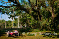 Desayuno en el Jardín de la Hacienda San José tiene el gusto de ofrecer una de las más antiguas casa hacienda en los alrededores de Pereira, donde se puede apreciar la antigüedad colonial del viejo Caldas con sus paredes de tapia pisada. Conformada por ocho confortables habitaciones con una capacidad de 25 personas, lugar propicio para reuniones, seminarios, conferencia con amplio espacio para la realización de sus proyecciones, con un maravilloso paisaje que invita a sus visitantes a disfrutar de una agradable cabalgata, caminata por el sendero ecológico, piscina, jacuzzi y para los amantes de la buena gastronomía comida típica e internacional, destacándose el Cochinillo Español para 8 personas como plato característico de este maravilloso lugar.