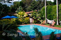 Piscina de l'Hotel Sazagua. Pereira. Vista de la piscina de l'Hotel Boutique Sazagua, a pocs quilòmetres de Pereira, al Triangle del Cafè de Colòmbia. Els seus jardins són un plaer per als sentits, amb una bella col · lecció de palmes i plantes tropicals que atreuen una àmplia diversitat d'aus de la regió. L'Spa Prana suporta tots els seus processos en la inherent importància de l'aigua com un factor equilibrant del fluid energètic dels éssers vius. Conscient dels nivells actuals d'estrès a què estem sotmesos a les nostres llars, treballs i ciutats, s'estableix la urgent necessitat de restablir el desequilibri que causen les pressions diàries en el delicat equilibri de l'ésser humà. Per això comptem amb la més moderna tecnologia disponible en l'actualitat sinó a més amb un excel · lent equip humà, certificat i conscient de la importància d'oferir un servei de la més alta qualitat, això, combinat amb una instal · lació acollidora fa que cada usuari se senti còmode ia gust.