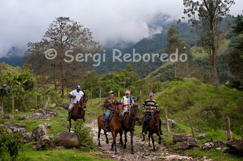 Varios caballos cabagan por el Valle de Cocora. Historia : VALLE DEL COCORA. En 1993 dada la perspectiva de un desarrollo vertiginoso del sector turístico del eje cafetero y especialmente del departamento del Quindío, buscando adicionar una plataforma de atracciones para el turista que llegaría a visitar los atractivos de la zona que empezaron a surgir como nuevos destinos turísticos, se pensóÂ en el lanzamiento de un nuevo lugar llamado "Complejo Eco turístico Restaurante Bosques de Cócora" ubicado en el Valle de Cócora donde crece el árbol Nacional de Colombia a 25 minutos de la ciudad de Armenia.   El Valle del Cocora es reconocido a nivel mundial y nacional por su hermoso paisaje, por sus palmas de Cera que miden más 60 metros (las más altas del mundo) y declaradas el árbol Nacional de Colombia. Allí es la cuna del nacimiento del Río Quindío y es una de las entradas al Parque Natural de los Nevados.   Misión : La satisfacción plena de las necesidades y expectativas de los clientes mediante la prestación e innovación de servicios gastronómicos de calidad. Dentro de los principios y valores que rigen la organización buscara permanentemente el desarrollo integral y equitativo de su talento humano y unos niveles de rentabilidad y productividad que permitan la retribución justa a sus dueños y a la sociedad en general   Visión : Se espera que para el año 2010 Bosques de Cocora se convierta en principal destino ecoturistico del eje cafetero y uno de los mas importantes a nivel nacional e internacional, gracias a los altos estandares de calidad en cuanto a gastronomia, servicios turisticos y de alojamiento prestados al visitante.   Responsabilidad social:  Bosques de cócora dentro de su política de responsabilidad ambiental, ha implementado unos procesos y estrategias ambientales, las cuales tiene como propósito promover la preservación y conservación del medio ambiente, utilizando de manera racional los recursos naturales, en beneficio de las futuras generaciones. Actualmente bosques de cócora cuenta con un programa de agenda ambiental el cual consiste en: La adopción de una palma de cera o un árbol nativo, donde las personas podrán contribuir a la preservación de los Bosques y minimizar el impacto que ha generado el hombre a partir de los procesos industriales. 