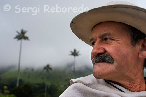 Marco Fidel Torres, amb el seu semblant gairebé idèntic a Joan Baldez, aquest home promociona el cafè colombià a la Vall del Cocora. No només la geografia i el paisatge de Salento són encantadors. La gent pròpies del lloc tenen una veritable vocació amfitriona. La seva amabilitat natural, el seu llenguatge suau, ondulant, les històries sempre disposades a ser comptades i el ritme tranquil de la població, són motiu per sempre sentir-se en un lloc màgic. La geografia de Salento està plena de relleus, d'aigua, de verds, de colibrís i d'un paisatge alegre, on el sol es barreja amb la boira que baixa de les muntanyes fent jocs de llums i arc de Sant Martí entre les fulles dels arbres d'eucaliptus i arbres nativos.Este és un lloc per al descans i el gaudi ple de les activitats al voltant de la natura i l'ecoturisme. Al Parc Natural Nacional Els Nevats i la seva zona amortidora es troben: el Turó Morrogacho, el Nevat Paramillo del Quindío, la Vall de Cocora, les llacunes La Coberta i El Encanto, cascades com la Pota de Cabra, de la bocatoma i la de la fallta les mirlas, l'Estació Biològica Estrella d'Aigua, la Reserva Natural Acaime i el sector sud del Parc Nacional Natural dels Nevats, que són escenaris privilegiats per al contacte amb la natura.