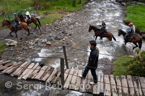 Several horses ride through the center of the Valley Nature Park Cocora. The Cocora Valley National Park, just 50 kilometers from the city of Pereira, is where the wax palm, cooking with trout and eco-adventure come together to give travelers a unique place in the Triangle Café. Water, an element present when you venture into the paths of Cocora Valley. Through different paths, horseback riding or walking, not just the wax palms have their show. Cocora in quimbaya language, means "Star Water". Water, vegetation, spectacled bears, butterflies and yellow-eared parrots are the stars of a unique place for travelers and reaffirm why Quimbayas gave it its name. Because Star Valley Water is Cocora, Star of Life. Cocora quimbaya language, means Star of Water. And definitely not wrong, as water plays with the traveler