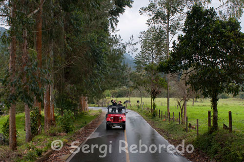 Los típicos jeeps Willys recorren los escasos 10 kilómetros que separan a la población de Salento del Parque Nacional Valle de Cocora. Jeep Salento – Cocora 3.000 COP Primero se camina por un sendero ancho, el paisaje empezaba a asomar, luego por un camino de animales rodeado de montañas... impactante!. Allí vi vacas y las primeras Palmas de Cera a lo lejos. Luego cambió la vegetación, se volvió mas tupida y húmeda, una selva de montaña. El sendero tenía un poco de barro, al lado corría un arroyo que tuve que cruzar varias veces por puentes y troncos, el sonido de los animales y el agua era el acompañamiento perfecto para esa caminata... maravilloso!!!. 