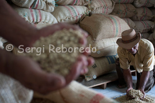 Sacks of dried coffee beans ready for roasting coffee at the Hacienda San Alberto. (Buenavista, Quindio). In addition to the freshness, the final quality of a good Colombian coffee depends on several factors. The following are the ones you necessarily have to take into account to obtain coffee as a beverage consumed in Colombia. As we have seen, coffee is a special product. Producing quality coffee demand many efforts of hundreds of thousands of producers in Colombia. So a quality drink depends on our quality coffee. The Café de Colombia is the heart of the drink. Quality is a concept applied in many areas of human evolution that allows us to achieve excellence. Be sure to buy good coffee, you know what your source will ensure the opportunity for unique pleasures that could not otherwise lograse. Today, the forms of coffee consumption can cause many different degrees of roasting coffee-roasting-. Since whites are consumed in some countries of Central Europe until very dark as can be obtained from the "French Roast" coffee preparations or Turkish type. A roast for espresso drinks can be intermediate. The different degrees of roast are associated in the way heat is applied to green coffee, the intensity of said application, and time thereof. For a deeper explanation of what happens in the roasting process, please click here. The Café de Colombia meets minimum quality thanks to controls that are carried from tree to cup and the various efforts of brand marketers that allow 100% Colombian coffee ensure outstanding. So every Colombian coffee brand can have a degree of roast that meets the tastes of a market or consumer group. Thus there is enough variability within the Café de Colombia, to ensure the desired quality and taste. It is therefore difficult to recommend a specific point of roasting. What I can mention is the need to perceive the different features that can offer us a coffee, and yes it can influence the form and degree of roasting. If you would like to enjoy a coffee acidity, I could not do with coffee at a high level of roasting. Conversely, if you like coffee with body, not to be found at low levels of roasting.