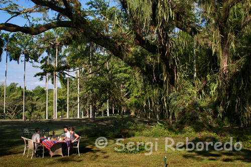 Breakfast in the Garden of the Hacienda San Jose is pleased to offer one of the oldest plantation house on the outskirts of Pereira, where you can see the antiquity of the old colonial Caldas with rammed earth walls. Consists of eight comfortable rooms with a capacity of 25 people, ideal place for meetings, seminars, conference with ample space for the realization of their projections, with a wonderful landscape that invites visitors to enjoy a pleasant ride, walk along the path green, pool, jacuzzi and for lovers of fine cuisine and international cuisine, highlighting the Spanish suckling pig dish for 8 people as characteristic of this wonderful place.