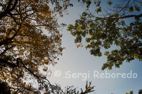 A plane flies over the garden of La Hacienda San Jose. Pereira. The San Jose built in 1888, is one of the oldest estates located around Pereira, with over one hundred years of history that can be recognized both in the details of its construction and in the particularity of their furniture .    