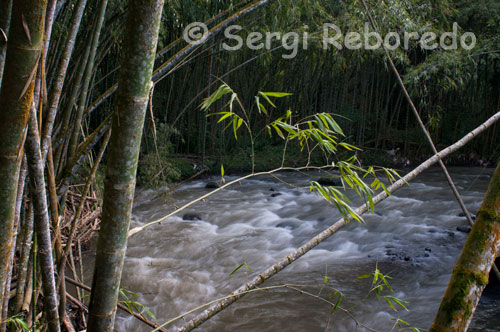 Image Otún River as it passes through the outskirts of the city of Pereira. Pereira's climate ranges from the following topics: Weather warm 9.9%, 60.7% average weather, cold weather 11.5%, 17.7% wasteland, its average annual rainfall is 2,750 mm. This feature shaping climate and soils, also offers a variety in the vegetation and landscape, enhancing the city of Pereira with one of the richest biodiversity in the nation. However, the city appears as a zone of high seismic vulnerability of the type of soil that form and geological faults running through it. Its average temperature is 22 degrees Celsius. The municipal area is 702 km ², bordered on the north by the municipalities of La Virginia, Marseille and Dosquebradas, northeast to Santa Rosa de Cabal and east by the department of Tolima, on the south by the departments of Quindio and Valle del Cauca, the west by the municipality of Balboa and the department of Valle del Cauca. Pereira is on the central mountain range, on the river valley Otún, and part of the Cauca River valley, like Pereira Colombian cities, has high areas of difficult access or flat spots or little steep streets of the city made pursuant to the relief of the area, as if the River Avenue crosses the river valley Otún, so it has little elevation but several lateral undulations. Most of the municipal territory corresponds to the steep relief of the Cordillera Central. Among the highlights orographic snow Quindio of Ruiz and Santa Isabel, on the borders by the departments of Quindio, Caldas and Tolima respectively. Also has other accidents as Santa Barbara, also known as the Alto del Nudo. The hydrographic system of the municipality includes the rivers Cauca, Barbas, Old, and Consota Otún with its many tributaries. It's broken relief, enjoys variety of climates, presenting the following climatic zones: hot, 60 km ²; average 367 km ², cold, 70 km ² and moor, with 107 km ².