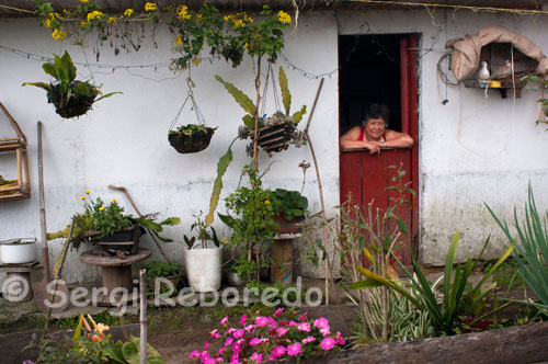 Filandia es reconocida por sus balcones tipicos de la arquitectura antioqueña colonia, llenas de coloridos y flores. Actualmente, el turismo se ha convertido en una alternativa potencial para el desarrollo del Departamento, razón por la cual hoy en día es uno de los destinos turísticos por excelencia de nacionales y extranjeros. La economía del Departamento de Quindío gira en torno al cultivo y comercialización del café, histórico valuarte de la economía Departamental y Nacional. A esta actividad le siguen la prestación de servicios, las actividades agropecuarias y la industria. La actividad agrícola en muy importante en la economía de este Departamento; su principal cultivo es el café. Otros cultivos que en los últimos años han incrementado su producción, son: plátano, yuca, sorgo, soya, fríjol, maíz y cacao. La ganadería ocupa un lugar destacado en su economía, se centra en la cría, levante y engorde de ganados vacuno, porcino, caprino y ovino. Se explota oro, mineral que se encuentra en pequeñas minas ubicadas en la vertiente occidental de la cordillera Central; también se explotan en menor cantidad plata, plomo y zinc; en cuanto a minerales no metálicos, se explotan arcilla, caliza y dolomita. La actividad industrial de mayor importancia es la agroindustria de alimentos, como también las confecciones, productos de aseo,  mientras que su adecuada estructura vial y de servicios ha facultado el desarrollo del comercio. 