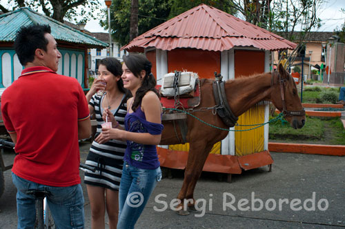 Young people spend their time chatting in the central square of Filandia. Quindío. Malted Beer is unique to the beautiful city of Filandia, Quindio, as the owner of Finlandia Fruit and Coffee, John Francisco Cardenas came ideándose this shake for over 4 months for your business, where he wondered if "there was coffee milkshake , tangerine and banana smoothie, why not make a Beer shake? "was how he shaped his secret, pleasant and colorful recipe in two months and managed to give the final touch to the idea. Mr. John Francisco Cardenas says his business takes more than a year working in the town of Filandia Quindío favorite, and what attracts most tourists when they Filandia is this distinguished and exquisite Beer Shake also mixtures thereof such as ice cream, beer and secret ingredients, is accompanied by a colorful presentation of fruit (kiwi, cerezas.etc).