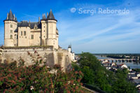 Vistes del Castell de Saumur i el Riu Loira des del mirador. Serpentejant les costeruts carrerons arribem fins als dominis del castell, des d'on s'obtenen una de les millors vistes d'aquesta zona de la Vall del Loira.