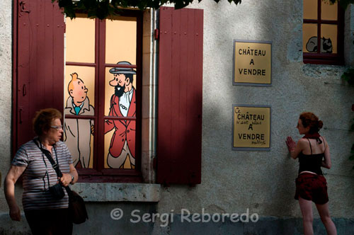 CHEVERNY, A TREASURE FOR LOVERS OF TINTIN This castle is one of the most famous, especially for the "tintinófilos" should not miss any of the ways. This castle, which inspired Hergé to draw the famous Moulinsart of Captain Haddock is a mixture of classical and popular art. Not far from the kennel is a permanent exhibition on Tintin and the secrets of Moulinsart, which for many highlights especially the similarity of the photographs of real characters and comic book illustrated by Hergé.