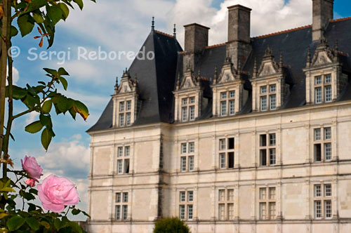 EL CASTILLO Y LOS JARDINES DE VILLANDRY. La ciudad de Tours, con sus calles medievales y sus pintorescas plazas, es el punto de inicio de este recorrido. En la parte vieja de la ciudad destaca el artesonado de madera de las casas del siglo XV. Desde aquí, el Loira y el Cher fluyen a través del jardín de Francia, una región donde la vida es fácil. Desde los antiguos barrios de Tours hasta los jardines del Castillo de Villandry, puede dar un precioso paseo en bici. 