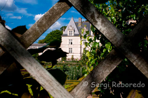 EL CASTELL I ELS JARDINS DE Villandry. Encara que el primer que es visita és el castell, el que atrau milers de turistes que passen per aquí cada any són el seu jardins, que van ser creats a principis de segle i que enalteixen al castell. Aquests jardins estan dividits en diferents zones, una ornamental al costat del castell (dedicat a l'amor tendre, l'amor apassionat, l'amor infidel i l'amor tràgic), una escola aigua al voltant de l'estany, i un jardí de herbes medicinals, aromàtiques, i hortofructícola.