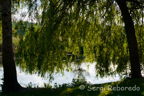 Paisatge al costat del riu en Azay li Rideau.