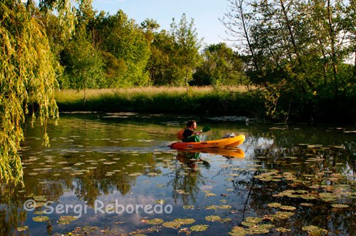 Practicant caiac a Azay li Rideau