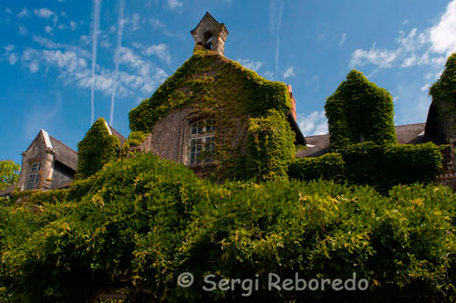 A house almost completely covered by a vine in Azay le Rideau