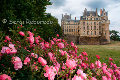 Jardins del castell. El Castell de Brissac és el més alt de tota França. Se situa estratègicament sobre la ribera del Maine ia poca distància del Loira albergant gran quantitat d'ordres religioses que reben missioners de tots els racons del món.