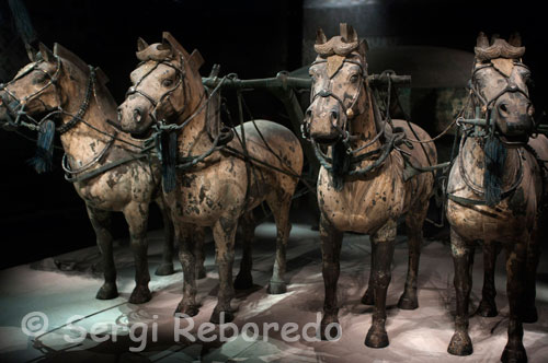 Cuadrigas de metal encontradas en la zona arqueológica próxima a Xi´an. Alberga la colección de figuras de caballería del ejército Qin compuesto por más de 1.300 piezas; entre caballos y caballeros; dispuestas en catorce filas; protegidas por una avanzadilla de arqueros arrodillados. En esta sala también nos podemos deleitar más de cerca con la presencia de cinco soldados: un par de arqueros; un soldado con su caballo y un par de oficiales de medio y alto rango. Al poderlos contemplar a una distancia menor se percibe el grado de perfección y manipulación de las esculturas; en las que está cuidado hasta el mínimo detalle; teniendo en cuenta; además; que ninguna de las piezas se hizo en serie y que cada pieza es única y diferente al resto. La fosa tres es la más pequeña y está ubicada veinte metros al noreste de la primera. En ella se encuentran únicamente 72 figuras; compuestas mayormente por oficiales; comandantes y generales de alto rango pertenecientes a la unidad de mando.Cuando uno llega a la fosa número uno; le invade un silencio interior; muestra del asombro al contemplar en perspectiva las 6.000 figuras de guerreros; carros y caballos de terracota dispuestos en posición de batalla y alineados hacia el extremo oriental. Los arqueros cubren las zonas más meridionales aunque también ocupan las tres primeras líneas de fuego junto a los ballesteros; a continuación se disponen los carros arrastrados por cuatro caballos y un auriga y defendidos por batallones de guerreros. Posteriormente; aparece el grueso del ejército dispuesto en 36 hileras y armados con lanzas; hachas; puñales; espadas y ballestas.