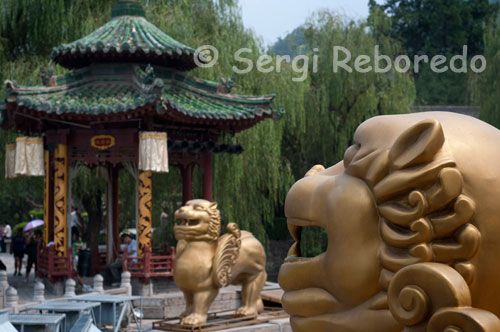 TERMES DE Huaqing El Palau de les Aigües Termals va ser construït per l'emperador Taizong, un palau emmurallat va ser afegit per l'emperador Xuanzong en 747 d. C. malauradament, va ser danyat durant la Rebel · lió An Lushan, a meitat del període Tang. La ubicació actual va ser reedificada sobre l'estructura de la dinastia Qing. través de la porta oest els visitants poden conèixer la Piscina dels 9 Dracs, la piscina de la Flor de Loto i el Saló de la Gebre a la Deriva, reconstruït el 1959 amb estil Tang. L'emperador Xuanzong solia passar l'hivern en companyia de Yang Guifei (Lady Yang), la seva concubina favorita, en el Saló de la Gebre Agitada. El saló va adquirir el seu nom a causa de la barreja lleugerament lletosa de vapor que hi havia sobre la piscina tot l'any. A l'hivern, els flocs de neu es fonen ràpidament davant del saló; a causa del tebi vapor que s'eleva des dels deus.