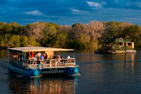 Crucero a lo largo de las Cataratas Victoria a bordo del "African Queen". Otros barcos que navegan en el río Zambezi. Victoria Falls es famoso por sus cruceros al atardecer y los licores se trata de una experiencia "debe hacer". Pero usted no tiene que ser un bebedor de alcohol para disfrutar de la experiencia de estar en el río más grande de África del Sur. Usted está seguro de ver hipopótamos y cocodrilos y posiblemente de elefantes durante las excursiones, que duran alrededor de dos horas en promedio. Durante la estación seca, los elefantes suelen nadar a las islas para alimentar y hay un par de paquidermos que han establecido su residencia a tiempo completo en la isla de Kalunda enfrente del embarcadero en el lado de Zimbabwe del río. En general, los operadores turísticos organizar para que usted será recogido del hotel, albergue o B & B, y nos llevaron a uno de los muchos sitios de lanzamiento a lo largo de la orilla occidental del Zambezi.