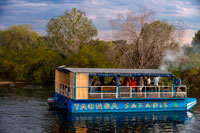 Crucero a lo largo de las Cataratas Victoria a bordo del "African Queen" . Otros barcos que navegan en el río Zambezi . Los cruceros al atardecer varían en tamaño de la embarcación - desde barcos esencialmente privadas que tienen de 8 a 10 personas hasta grandes barcos de las partes que pueden tener 120 o más. Al reservar, preguntar el nombre de la embarcación y su tamaño , si usted tiene un tamaño de grupo específico en mente o desea una experiencia de barco más grande o más pequeño. Además, algunos barcos son más lujoso que otros - aunque algunos de los barcos más rústicos , antiguos tienen su propio encanto. La experiencia varía enormemente en función del número de personas y que está compartiendo la puesta de sol de crucero con , y cada barco tiene su propio carácter único . El crucero comienza con una charla de seguridad , poco después del lanzamiento y luego , por lo general , los viajes río arriba hacia el Parque Nacional Zambezi . Hay un montón de cocodrilos e hipopótamos que ser visto y la vida de las aves es bastante espectacular. Esté atento a los elefantes a lo largo de los bancos o , si usted es muy afortunado , elefantes nadando o buceando a través del río . Los barcos suelen recurrir a bajar el río y continuar durante varios kilómetros en dirección a Palm Island - meandros frecuencia dentro y fuera de las islas y canales.