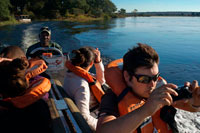 Desde Victoria Falls es posible visitar el cercano Botswana. Específicamente el Parque Nacional de Chobe. Parque Nacional de Chobe, en el norte de Botswana, tiene una de las concentraciones más grandes de juego en África. Por tamaño, es el tercer parque más grande del país, después de la Reserva de Caza del Kalahari Central y el Parque Nacional Gemsbok, y es el más diverso. También es el primer parque nacional del país. El área Serondela (o frente al río Chobe), situado en el extremo noreste del parque, tiene como principales características geográficas exuberantes llanuras aluviales y densos bosques de caoba, teca y otras maderas duras ahora en gran parte por la presión de la reducción de pesado elefante. El Chobe, que fluye a lo largo de la frontera noreste del parque, es un importante punto de riego, sobre todo en la estación seca (de mayo a octubre) para los grandes rebaños de cría de elefantes, así como las familias de la jirafa, de sable y búfalos.