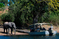 Des Victoria Falls és possible visitar el Botswana . Específicament el Parc Nacional de Chobe . Elefants Crossing : Riu Safari al Chobe . A l'aigua salobre , dos enormes caps suraven a la superfície. Ens creuer més a prop per veure de prop . Dos elefants adolescents van sortir de l'aigua , els seus cossos voluminosos s'eleva sobre la nostra petita embarcació . Batent les orelles , es van moure ràpidament cap a la terra . "Només estan creuant nedant el riu per Sedudu . No et preocupis , no ens faran cap mal " , va dir va dir Bernard , el nostre guia del safari de luxe creuer pel riu Zambezi Queen . Juntament amb altres pots carregats de turistes , vam veure amb sorpresa com els elefants creuar nedant el canal d'aigua , a pocs centímetres de distància del nostre vaixell . El duo es veia juganer i entremaliat , xipollejant entre si amb aigua usant els seus troncs . Quan l'elefant líder va arribar a la vora, es va girar i va l'altre peu . Ens vam posar a riure , gairebé com si estiguéssim veient un parell de germans que lluiten . Per sobre de tot , aquests elefants eren completament aliens a nosaltres i tots els vaixells al seu voltant.