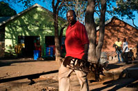 Craft shop next to the Victoria Falls entrance. Head to one of the town’s open-air African craft markets and learn the best ways to barter from your guide! Browse the stalls, admiring one-of-a-kind handicrafts and traditional souvenirs such as African tribal art, and shop for keepsakes to take home. The market is near the center of Victoria Falls, so enjoy some free time to explore it independently after your market visit.Visit Victoria Falls town on a day trip from Kasane, discovering the delights of its namesake waterfalls on a rainforest walk and exploring an African crafts market! Putting the spotlight on the impressive waterfalls, the rainforest walk takes in some of the finest vantage points to ogle them from, such as the Devil’s Cataract at Victoria Falls’ lowest point. Hone your bartering skills on an afternoon visit to the craft market, and then enjoy some free time to explore town. Upgrade to include a traditional Zimbabwean lunch halfway through the day. Leave your Kasane hotel and travel east to Victoria Falls, the small town named after the impressive waterfalls wedged between Zambia and Zimbabwe. After roughly 1.5 hours on the road, arrive in town and stop at the rainforest that borders the falls for a morning walk.  Amble along the rainforest trails with your guide while learning all about the world-famous Victoria Falls. 