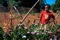 Una niña en su jardín en la Mukuni Village. El actual pueblo Mukuni encuentra a sólo siete kilómetros de las Cataratas Victoria y es la sede permanente tradicional del pueblo Mukuni Leya, con una población aproximada de 8000. Los habitantes de Leya Jefe Sekute viven al oeste de Livingstone hacia Kazungula. Jefe Mukuni elige a uno de sus parientes de sexo femenino para ser la sacerdotisa de la tribu - por lo general una hermana o una tía. El Jefe, junto con sus consejeros, arbitra los casos de la política local y otros problemas. La sacerdotisa, llamada Bedyango, es responsable de los asuntos religiosos, y recibe informes de nacimientos y defunciones. El Leya adoran a sus antepasados ??muertos, Jefe Mukuni ser su representante en la tierra. Hay varias ceremonias que se realizan en el pueblo en ciertas épocas del año y en casos de enfermedad o la sequía. Se dice que la tribu trajeron con ellos una piedra - Kechejo - de Kabwe. Esta piedra fue puesta en el sitio de la aldea Mukuni.