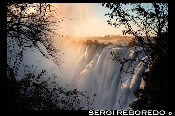 Views of the Victoria Falls.  The Victoria Falls are one of the world's most spectacular plunges. The 2km(1.2mi)-wide Zambezi River drops more than 100m (328ft) into a steeply-walled gorge. The Zambian side of Victoria Falls has long played second fiddle to its better-known Zimbabwean counterpart, but trouble next door means Livingstone is positively booming. For close-up views of the Eastern Cataract, nothing beats the hair-raising (and hair-wetting) walk across the footbridge, through swirling clouds of mist, to a sheer buttress called the Knife Edge. If the water is low and the wind favourable, you'll be treated to a magnificent view of the falls and the yawning abyss below the Zambezi Bridge. Adrenaline junkies can indulge in white-water rafting, abseiling, river-boating, jet-boating, bungee jumping and a host of airborne activities. At certain times of year it is even possible to visit Livingstone Island and swim at the very edge of the Falls, though sadly it's no longer free. Don't get so caught up with activities that you miss one of the most spectacular waterfalls in the world. The Mosi-oa-Tunya/Victoria Falls is the largest curtain of falling water in the world; it is 1.708 m wide and with up to 500 million litres per minute descending at 61 m (Devil’s Cataract), 83 m (Main Falls), 99 m (Rainbow Falls), 98 m (Eastern Cataract). Eight spectacular gorges of igneous origin (i.e. comprising basalts) and several islands in the core zone serve as breeding sites for four endangered and migratory bird species, such as the Taita Falcon and Black Eagle. The riverine 'rainforest' within the waterfall splash zone is a fragile ecosystem of discontinuous forest on sandy alluvium, dependent upon maintenance of abundant water and high humidity resulting from the spray plume of about 500 m (at maximum height) that can be seen from a distance of 50 km and 30 km from Bulawayo and Lusaka roads respectively. A direct frontage viewing of the falls is possible from both Zambia and Zimbabwe.