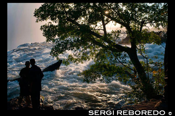 Local tourists visit the Victoria Falls. The Victoria Falls constitutes one of the most spectacular natural wonders of the world. The Local people call it "Mosi-oa-Tunya" -- the smoke that thunders and the Falls are remarkable.  There is a magic about them manifested in the towering column of spray when the river is high, the thunder of the falling water, the terrifying abyss and tranquil lagoons upstream in which hippo and deadly crocodiles lurk. The Victoria falls is 1 708 meters wide, making it the largest curtain of water in the world. It drops between 90m and 107m into the Zambezi Gorge and an average of 550,000 cubic metres of water plummet over the edge every minute. Remarkably preserved in its natural state, Victoria falls inspires visitors as much today as it did David Livingstone in the 1860's. The falls and the surrounding area have been declared National Parks and a World Heritage Site, thus preserving the area from excessive commercialisation. The river's annual flood season is February to May with a peak in April. The spray from the falls typically rises to a height of over 400 metres (1,300 ft), and sometimes even twice as high, and is visible from up to 50 km (30 miles) away.  During the flood season, however, it is impossible to see the foot of the falls and most of its face, and the walks along the cliff opposite it are in a constant shower and shrouded in mist. Close to the edge of the cliff, spray shoots upward like inverted rain, especially at Zambia's Knife-Edge Bridge. As the dry season takes effect, the islets on the crest become wider and more numerous, and in September to January up to half of the rocky face of the falls may become dry and the bottom of the First Gorge can be seen along most of its length. The minimum flow, which occurs in November, is around a tenth of the April figure.