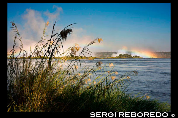 Views of the Victoria Falls.  Victoria Falls is one of two World Heritage Sites on the Zambezi River. Our local Victoria Falls office is ideal for managing your bookings to one of the most celebrated natural wonders of the world. Plan your visit on Victoria Falls Safari Network. The Zambezi River flows broad and placid to the brink of a 1700 mm wide basalt lip before taking a 100 metre headlong plunge into the thunderous, frothy chasm of the Batoka Gorge below. Its the world's largest sheet of falling water. Victoria Falls and Livingstone on either side of the Fall, provide easy access to the national parks in Zimbabwe, Botswana, Zambia or Namibia as well as South Africa, for regular safaris. The Mosi-oa-Tunya/Victoria Falls and associated eight steep sided gorges have been formed through the changing waterfall positions over a geological time scale. The gorges are an outstanding example of river capture and the erosive forces of the water still continue to sculpture the hard basalts. These gorges take a zigzag course of a distance of about 150 km along the Zambezi River below the falls. Seven previous waterfalls occupied the seven gorges below the present falls, and the Devil's Cataract in Zimbabwe is the starting point for cutting back to a new waterfall. In addition, an aerial view of the falls shows possible future waterfall positions. Upstream are a spectacular series of riverine islands formed during the ongoing geological and geomorphological processes. The property is characterized by banded basalt of ancient lava flow, Kalahari sandstones and chalcedony out of which stone artefacts of Homo habilis dating three million years, stone tools of the middle Stone Age and weapons, adornments and digging tools of the late Stone Age that indicate occupation by hunter-gatherers.