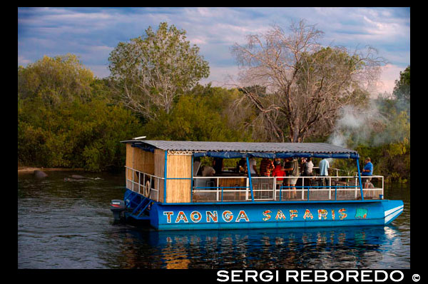 Cruise along the Victoria Falls aboard the " African Queen".  Other boats sailing in the Zambezi River. The sunset cruises vary in boat size – from essentially private boats that take 8 to 10 people to large party boats that can take 120 or more. When booking, ask the name of the boat and its size if you have a specific group size in mind or want a larger or smaller boat experience. Also, some boats are more luxurious than others – although some of the older, more rustic boats have their own charm. The experience varies tremendously according to the number of people and who you are sharing the sundowner cruise with, and every boat has its own unique character. The cruise begins with a safety briefing shortly after launching and then, typically, journeys up river towards the Zambezi National Park. There are plenty of crocodiles and hippos to be seen and the bird life is quite spectacular. Watch for elephants along the banks or, if you are extremely lucky, elephants swimming or snorkelling across the river. The boats usually turn back down river and continue for several kilometres towards Palm Island – often meandering in and out of the islands and channels. At this point, you can look down river towards the Falls and witness the mist rising from them. These big sunset cruise boats cannot go beyond this point as the river is too swift and there are a number of rocks. Just before sunset, the boats usually turn and head back up river, stopping a kilometre or so before the landing point to catch the last rays of the dying sun. Drinks are typically free and snacks are usually served. Booking a cruise is essential and we recommend – time permitting – doing two cruises in two different sized boats, as each experience is very different.