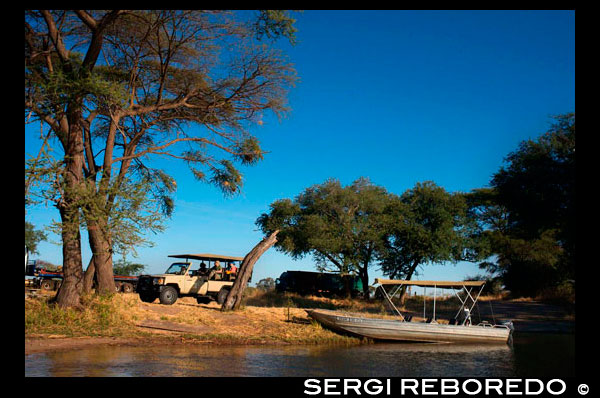 Des Victoria Falls és possible visitar el Botswana . Específicament el Parc Nacional de Chobe . El Parc Nacional de Chobe , a Botswana és només un 1 ¾ hores en cotxe de Livingstone . És una de les majors reserves de caça al sud d'Àfrica i famosa pel nombre d'elefants que hi viuen. El riu Chobe flueix mandrosament a través de les planes d'inundació de Caprivi i proporciona un refugi per enormes ramats de búfals i elefants , zebres , nyus i impala que són seguits de prop pels depredadors com lleons , hienes , l'esmunyedís lleopard i el paquet imparell de la qual ara és rara salvatge gos . La vida de les aus en particular , és excepcional . Viatjant a Chobe inclou una travessia emocionant en vaixell del riu Zambezi en el punt on els 4 països de Zàmbia , Zimbabwe , Botswana i Namíbia es troben. El Safari comença amb un creuer al matí gameviewing al riu Chobe amb te , cafè , begudes i aperitius que se serveixen a bord. Grans bandades d'aus, grans ramats d'hipopòtams i cocodrils són molt grans per tot arreu . Després de desembarcar , el dinar es pren llavors en el Chobe Marina Lodge , que té vistes al riu Chobe i les planes més enllà . A la tarda , els vehicles de safari oberts s'utilitzen per a un safari al parc . Anunci d'un safari molt d'hora al matí per a tots els viatges de nit en el matí del dia dos i tres, depenent del seu viatge . Excursions Chobe comencen des del seu allotjament a Livingstone en 06h45am amb els hostes que tornen al seu allotjament en al voltant de les 18h30 en una excursió d'un dia complet o per 10 en els viatges de nit . El viatge inclou entrada al Parc Nacional , les transferències , els serveis de guies qualificats fauna , begudes i aperitius al vaixell , aigua mineral embotellada a la unitat de jocs i dinar inclòs un refresc o cervesa . * Tingueu en compte que hi ha implicacions de visat per als ciutadans d'algunes nacionalitats . El preu és el mateix per a totes les edats , encara que els nens menors de 12 anys no se'ls anima a anar en el viatge d'un dia de Chobe.