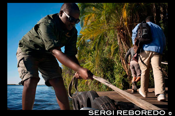 Desde Victoria Falls es posible visitar el cercano Botswana. Específicamente el Parque Nacional de Chobe. Lo mejor de todo, es un lugar muy cercano a las Cataratas Victoria por lo que es fácil incluir un viaje Día Chobe Safari en su itinerario de viaje. Parque Nacional de Chobe es ampliamente considerado como que tiene la concentración más diverso de animales en la zona. En el parque nacional de Chobe usted puede estar seguro de ver al menos cuatro de los cinco grandes - es el Rhino que es el más difícil de alcanzar aquí. Pero los elefantes, de la cebra, del guepardo, leones y perros salvajes son sólo algunos de los animales que se pueden ver en un viaje de día Chobe. El Parque Nacional de Chobe está situado en Botswana y se extiende por 10.689 kilómetros cuadrados de vasto desierto. Es el segundo parque nacional más grande de Botswana, pero tiene la mayor concentración de vida de los animales en el parque. Parque Nacional de Chobe es conocido por su gran población de elefantes. La población de elefantes aquí en el parque nacional de Chobe es especial por varias razones. Los elefantes aquí representan la mayor concentración de elefantes en África. También son la mayor población de elefantes sobrevivir en la tierra. Usted está garantizado para ver elefantes de cerca en un día de viaje de Chobe. Parque nacional Parque Nacional de Chobe Chobe también tiene algunas extensas pinturas rupestres San que se conservan de los primeros habitantes de la zona. Un día de viaje Chobe puede ser un punto culminante en su experiencia en Victoria Falls. Podemos organizar viajes a Chobe tanto desde Victoria Falls Zimbabwe y Zambia, un viaje de un día de Chobe es fácil de organizar y añadirá una nueva dimensión a su tiempo en Victoria Falls.