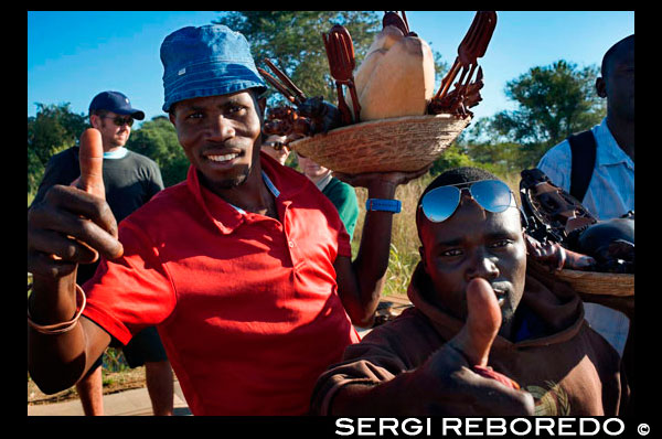 Craft vendors on the border between Botswana and Zambia. From Victoria Falls is possible to visit the nearby Botswana. Specifically Chobe National Park.   Just inside the Zambian border, next to the field museum, is an outstanding curio stand. The carvers and traders come mostly from Mukuni village, though the goods come from as far as DRC and Malawi. Mukuni Park in the centre of town has a similar area of curio vendors. Both are excellent places to buy wooden and stone carvings, handicrafts, chessboards, masks, drums, malachite bangles, baskets and the like. There are usually about 20 or 30 individual traders, laying their wares out separately. All compete with one another and vie for your business. The best buys are makenge baskets (these come exclusively from Zambia's western province), malachite and heavy wooden carvings: hippos, elephants, rhinos, giraffes and smaller statues, often made out of excellent-quality, heavy wood. However, you should consider the ethics of encouraging any further exploitation of hardwoods. Note, too, that some wooden items, especially wooden salad bowls and tall giraffes, are prone to cracking once you get them home due to changes in climate and that very rarely are 'antiques' sold at craft markets anything other than fakes. Unless you have the expertise to tell the difference, it's better to buy such artefacts from a reputable shop in town.  The curio market is a place to bargain hard and you can expect to hear all sorts of pre-fabricated stories as to why you should pay more. When you start to pay, you will realise how sophisticated the traders are about their currency conversions, reminding you to double-check any exchange rates. Traders will accept most currencies and sometimes credit cards.