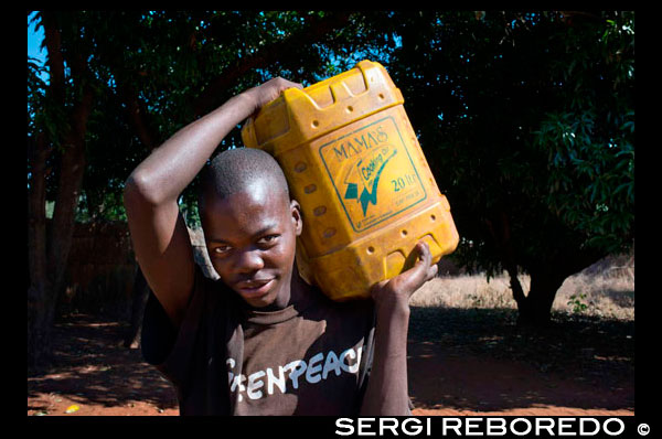 One of the inhabitants of Mukuni Village bringing a water jerican. He's wearing a Greenpeace t-shirt. Mukuni Village – A unique Cultural Experience that gives the visitor an insight into modern, yet distinctly timeless, way of life of the Toka Leya people that live there. This village is made up of the homesteads of over 1000 families and has a total population of some   6 000 Zambian people. The Homesteads are positioned on the crest of one of the ancient sand dunes that are found in the region. With the increase in rainfall in the last 100 000 years these dunes are well covered with vegetation and woodlands. The people of Mukuni are clearly respectful of the environment and as such the village, which covers some 20 hectares, has many lovely trees and a lot of these have been encouraged and probably planted by the residents as they provide fruit and shade, as well as ensure the stability of the sandy soils. Located on the south eastern side of the village, are the Homesteads of the leaders of the community.  This includes a large area enclosed with a reed fence called the palace, and it is within here that the much revered Chief Mukuni and his second in charge Chieftainess Bediango  call home, when they are resident. Near to this palace are also found the governing structures of the large village including a rudimentary court room and some jail cells. These combine to form the entire disciplinary and ruling region of the community. Due to the fact that this is a focal point for visitors to the village the Mukuni curio market is also found here, together with the tourist centre and guide station.
