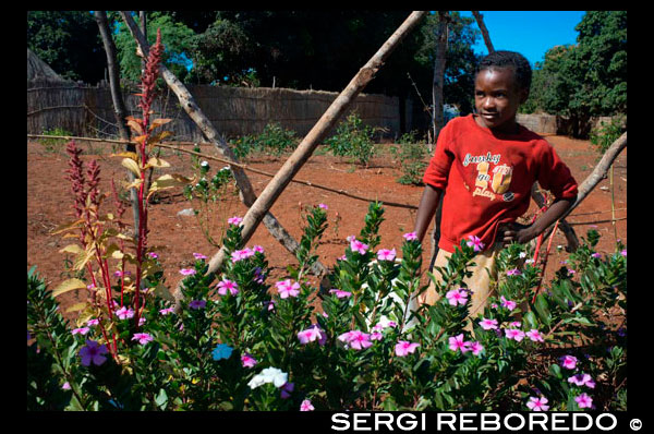 A girl in her garden in the Mukuni Village. The current Mukuni village lies just seven kilometres from Victoria Falls and is the permanent traditional headquarters of the Mukuni Leya people, with an approximate population of 8000. The Leya people of Chief Sekute live to the west of Livingstone towards Kazungula. Chief Mukuni chooses one of his female relatives to be the Priestess of the tribe - usually a sister or aunt. The Chief, along with his counsellors, arbitrates cases involving local politics and other problems. The Priestess, called Bedyango, is responsible for religious affairs, and receives reports of births and deaths. The Leya worship their dead ancestors, Chief Mukuni being their representative on earth. There are several ceremonies which are performed at the village at certain times of the year and in cases of disease or drought. It is said that the tribe brought with them a stone - Kechejo - from Kabwe. This stone was put at the site of the Mukuni village. The story of Kechejo is that it will disappear under the ground in times of severe drought; it will also raise itself higher out of the ground in times of good harvest. The Victoria Falls region has been a place of worship to the Leya people for centuries. The Lwiindi Ceremony or Spray Ceremony is performed every year just before the rains. At the Lwiindi Ceremony, the chief leads his people down through the spray to the Victoria Falls gorge, where they offer sacrifices to their ancestors in thanks for the rain, accompanied by traditional dances and rituals. Mukuni Village is sitauted on a dry, sandy knoll and the soil is poor and relatively infertile and they have therefore embraced to tourism, including cultural tours of the village.