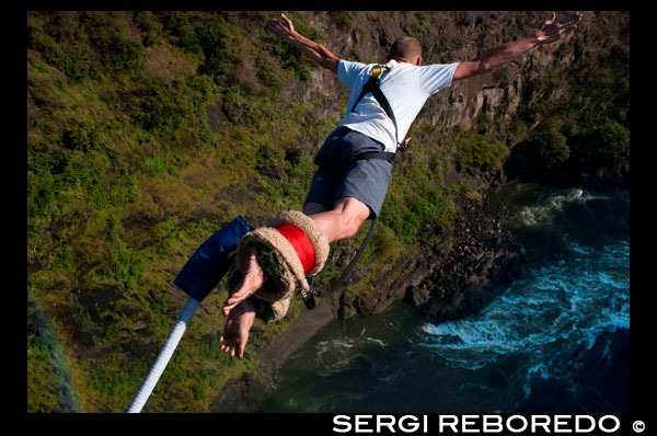 Puenting en las Cataratas Victoria sobre el río Zambezi. Seguramente Bungee Jumping 111 metros del Puente de Victoria Falls tiene que ser una de las cosas más difíciles, aterradoras, loco que hacer. No he construido el coraje todavía, pero de todas las cuentas .... Es algo que debe hacer. Gracias a Shearwater, empresa líder aventura en Zimbabwe, que tuvo la oportunidad de cumplir mi destino por el bungee saltar del Puente de Victoria Falls. El salto le lleva de cabeza al Batoka Gorge, donde las vigas de aguas blancas por debajo tratan desesperadamente de mantenerse en pie, ya que viajar a través de 5 º grado los rápidos. Las Cataratas Victoria están situadas justo detrás del puente y se puede sentir el rocío en el puente cuando el agua es alta. El puente está en la tierra de nadie, que marca la frontera entre Zimbabwe y Zambia. Fue construido en 1905 y es una maravilla de ingeniería (que tienes un montón de tiempo para apreciar una vez que has estado winched regreses de tu salto). Cuando las personas no están conduciendo hacia y desde Zambia / Zimbabwe, o puenting en el puente durante el día, los elefantes a veces lo utilizan para cruzar por la noche. Algunos dicen que es el mejor salto del amortiguador auxiliar en el mundo ... no es el más alto, ese honor va al Puente Bloukrans en Sudáfrica, que es un 233m increíble. Tal vez sea debido al telón de fondo de las Cataratas Victoria o tal vez sólo el hecho de que usted está en caída libre hacia el poderoso Zambezi. Sea lo que sea, es un subidón de adrenalina enorme! Sólo hay una empresa que opera el Bungee Jump y se llamó a la compañía Zambezi Adrenaline. Se basan en Zambia y están afiliados a Shearwater en Zimbabwe. Si usted no es lo suficientemente valiente como para hacer esto solo, siempre se puede intentar convencer a un compañero a saltar con usted y hacer el salto en tándem. Los principiantes suelen hacer un estándar de primera inmersión de cabeza, pero los más experimentados tratan todo tipo de lanzamientos, saltos mortales y alforzas hacia adentro etc Pre reservados y los aficionados al puenting pagados tienen derecho a un reembolso completo hasta que firmen el formulario de indemnización en el puente y el inicio a la correa hacia arriba, usted es entonces más allá del punto de no retorno.