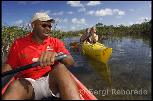 If there is a best-kept secret on Grand Bahama Island, it probably rests somewhere on a secluded beach, within the lush tangle of a mangrove swamp, or in the colorful folds of a coral reef. Most people who come to the island never realize that its natural attractions are its finest assets, an oversight resulting from the simple fact that few of them ever stray far from the resorts and nightlife of Freeport/Lucaya. They have no idea what they're missing. To begin with, there are three national parks on Grand Bahama Island. Lucayan National Park, the star of the triad, is the only place in the Bahamas where visitors can see all six of the island's ecosystems – a collection of plants and wildlife that offers an unparalleled view into the complex interaction of native land and sea. Also within the park is one of the world’s longest underwater cave systems – a sprawling network of tunnels resulting from the island’s unique limestone geology. The Rand Nature Center, with its resident flamingo colony, and reef-enveloped Peterson Cay National Park are equally thrilling in their beauty.  Both the Lucayan National Park and Rand Memorial Nature Center are easily accessible, but Peterson Cay can only be reached by boat.