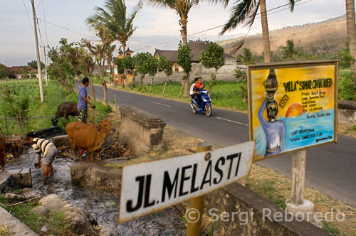 Amed Beach is located in East Bali - everything you dreamed it would be a rare and special paradise of outstanding exotic beauty, vibrant culture and friendly people. Here you can finally find peace and quiet, a fabulous food and take advantage of comfortable and affordable housing. From the beach, Amed offer an excellent site for training dives. It has a flat bottom lagoon for instruction and a coral reef only 5 minutes swim away. Cemuluk on a sheltered bay, is an ideal place to start Snorkeling. Four kilometers further south along the coast is Banyuning where there is a small wreck and some of the most beautiful coral gardens to be seen anywhere in the Lesser Sunda. The water is a little deeper here and sometimes there is a slight swell, so this area suits people with experience.