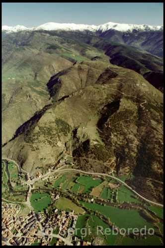 Flora Las partes más altas, a partir de 2000 metros están cubiertas de prados alpinos. En altitudes inferiores encontramos bosques de pino negro y en las laderas norte de las cordilleras bosques de abetos. Las comunidades vegetales más interesantes son quizás las que crecen en las pedrizas, donde se amontonan piedras desprendidas de los altos; aquí, entre las piedras, las plantas han de adaptarse a la falta de humedad, al corrimiento de los peñascos y a las bajas temperaturas. Fauna Entre la fauna destaca el quebrantahuesos, el rebeco, el ciervo, el corzo, el urogallo, la marta, el pito negro y en zonas altas la gran águila real. El ciervo y el corzo, que se habían extinguido hace tiempo, vuelven a poblar el parque gracias a la reciente repoblación. Entre las aves hay que señalar las especies relictas de los períodos glaciares como el urogallo y el pico negro, escogido éste como símbolo del Parque Natural. 