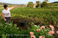 A farmer in the vicinity of San Salvador de Duio. Fisterra.