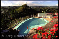 Swimming around Mountain Chocolate Hills. Bohol. The Visayas.