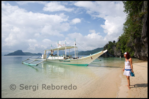 The island province of Palawan has been declared as a nature sanctuary of the world, and for good reason. It is wrapped in a mantel of rainforests, outstanding dive sites, majestic mountains, primeval caves, and pristine beaches. It is surrounded by a coral shelf that abounds with varied and colorful marine life. It boasts of exotic flora and fauna, like the mousedeer and the scaly anteater, that are found nowhere else. Palawan waters are among the best in the world, not only for diving but also for fishing. A diver's paradise, it has miles of sub-surface coral and rainbow reef walls which surround the coasts and coves teeming with rich marine life. The El Nido Marine Reserve in Miniloc, El Nido, occupying an area of 96,000 hectares, is a popular nature spot in the province. It boasts of diverse ecosystems, such as rainforests, mangroves, white sand beaches, coral reefs, and limestone reefs as well as a variety of fishes, like manta ray and the sea cow or ""dugong,"" known as the world's rarest marine mammal. It is now one of the country's premier destinations, blessed with amazing natural scenery, and considered as a sanctuary for various forms of wildlife.