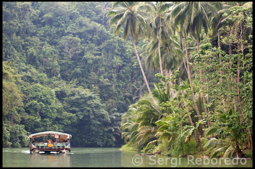 With its breath-taking symphony of stalactites and stalagmites jutting out of the earth, the Hinagdanan Cave is certainly a sight to behold.  Bring a swimsuit if you want to swim its cool springs aptly lit from above by natural skylights.  Hinagdanan is only two and a-half kilometers from Dauis town.  This is a lesson on how to enjoy the Loboc River Cruise. The Loboc River is now one of the major destinations of tourists, local and foreigners alike. Located in the Municipality of Loboc, a mere 24 kilometers away from Tagbilaran City, the winding river plays host to cruisers on board small bancas or floating restaurants. 