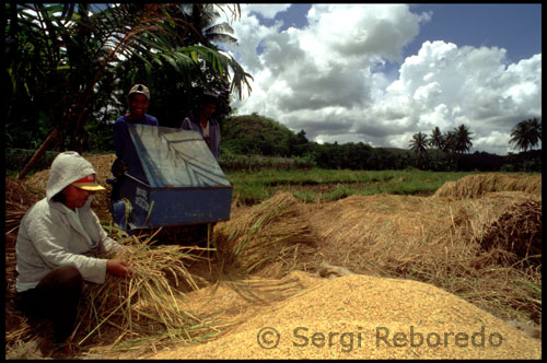 However, beneath the rustic charms of Bohol lies a thousand and one adventures just waiting to unfold.  The site of the 1565 blood compact between Boholano chieftain Rajah Sikatuna and Spanish explorer Miguel Lopez de Leganzpi Bohol's historicity is evident in the province's relaxed, laid-back pace.  Excavation in ancient burial grounds reveal artifacts dating back to China's Tang dynasy.  Indeed, the province already had strong trading ties with the Chinese long before the Spaniards set foot in the country.  Every year, the compact between the Muslim chief and the Spanish conqueror is celebrated through the Sandugo Festival in July.  All year-round, the museums and churches attest to the province's rich heritage and culture.  The Chocolate Hills is the most famous natural attraction to be found in Bohol.  The province is home to the world's smallest monkey, the tarsier.  The size of a first, the tarsier lives on the hills of Corella, some ten kilometers from Tagbilaran.  Other equally exotic flora and fauna can be found amongst the forests of Bohol.. 